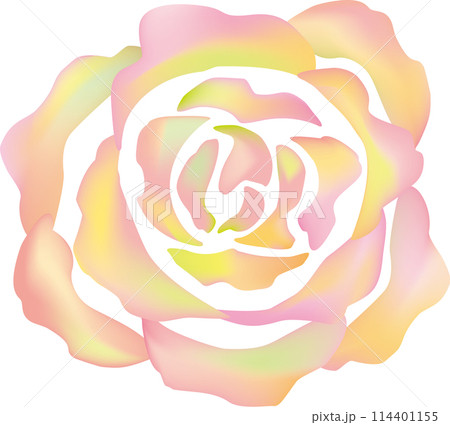 赤い虹色のバラ 赤い虹色のバラ 114401155
