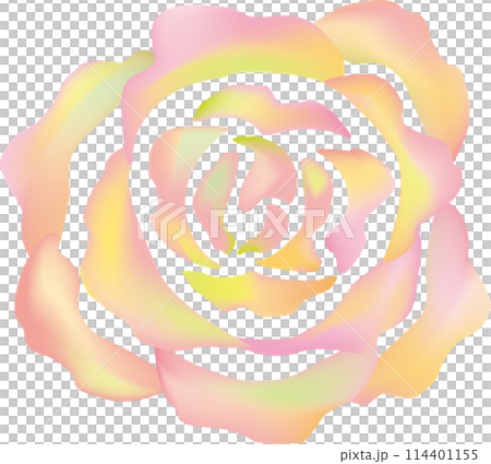 赤い虹色のバラ 赤い虹色のバラ 114401155