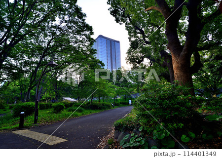 日比谷公園から観る朝の東京ミッドタウン日比谷の風景 114401349