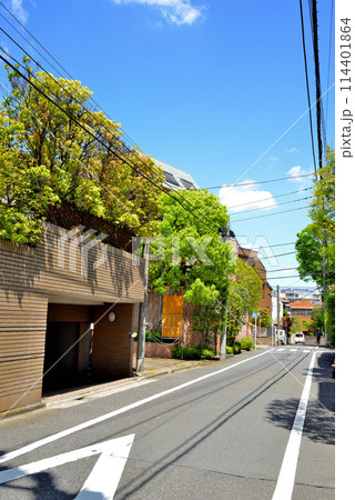 東京 代々木上原駅周辺の閑静な高級住宅街の風景 東京 代々木上原駅周辺の閑静な高級住宅街の風景 114401864