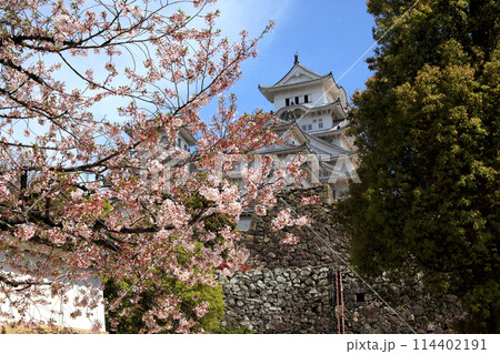 日本の城　姫路城　満開の桜に彩られた春の景観 114402191