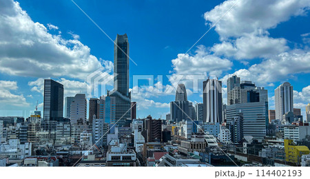 新宿の超高層ビル群 114402193