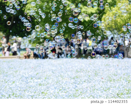 お花畑とシャボン玉 114402355