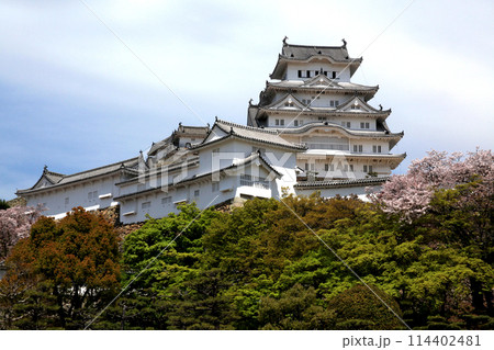 日本の城　姫路城　満開の桜に彩られた春の景観 114402481