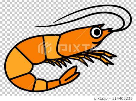 海洋生物蝦 海洋生物蝦 114403239