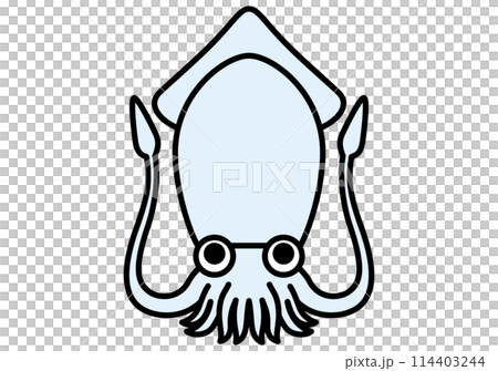 海のいきもの　イカ 114403244