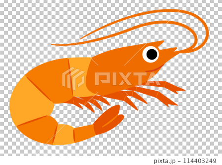 Sea creatures: shrimp 114403249
