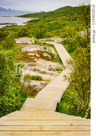 Walkway and fjord landscape, Lofoten Norway Walkway and fjord landscape, Lofoten Norway 114403818