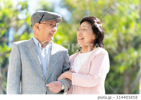 シニア夫婦　杖つく　散歩　緑 114403858