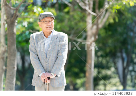 シニア男性 杖をつく ポートレート シニア男性 杖をつく ポートレート 114403928