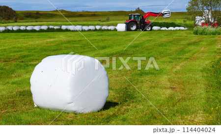 Bale of hay wrapped in plastic foil, Norway Bale of hay wrapped in plastic foil, Norway 114404024