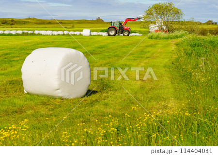 Bale of hay wrapped in plastic foil, Norway Bale of hay wrapped in plastic foil, Norway 114404031