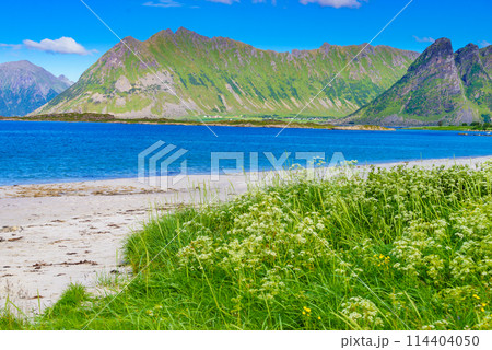Seascape in Gimsoysand, Lofoten islands, Norway 114404050
