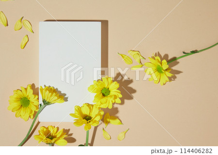 Light background photo with an empty pedestal in rectangle shaped, decorated by yellow color of fresh calendula. Space for displaying product, top view Light background photo with an empty pedestal in rectangle shaped, decorated by yellow color of fresh calendula. Space for displaying product, top view 114406282