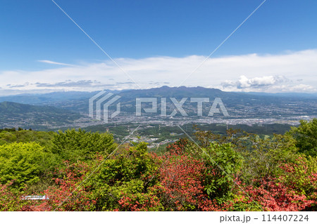 伊香保森林公園　つつじヶ丘休憩所の展望台から見る赤城山 114407224