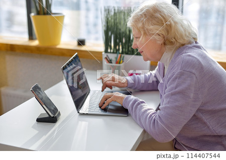 Adorable aged woman sitting alone, using modern laptop, going to have video call Adorable aged woman sitting alone, using modern laptop, going to have video call 114407544
