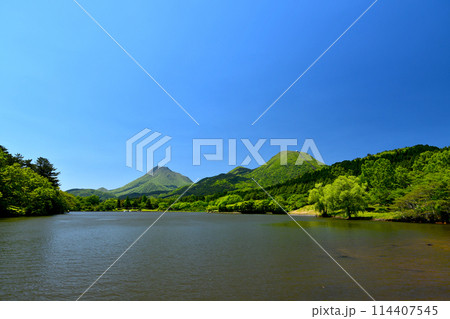 初夏の志高湖と由布鶴見 114407545