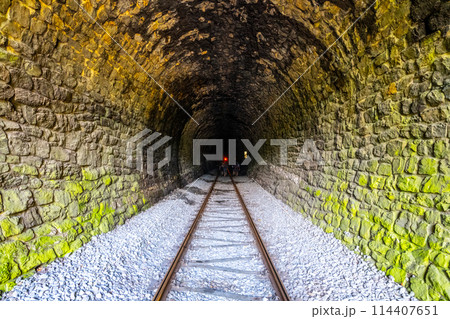 A captivating view inside a stone railway tunnel, with tracks leading towards a distant light. The greenish hue on the walls adds a touch of mystery 114407651