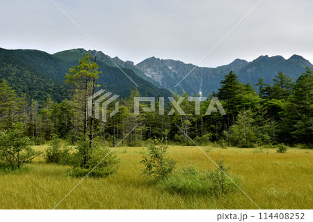 田代湿原の先にそびえる穂高の山々 114408252