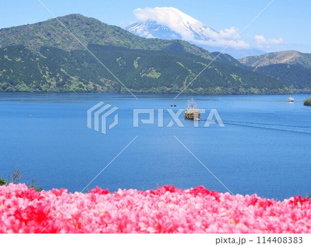 神奈川県　初夏の恩賜箱根公園の景観（ツツジと海賊船）　5月 114408383