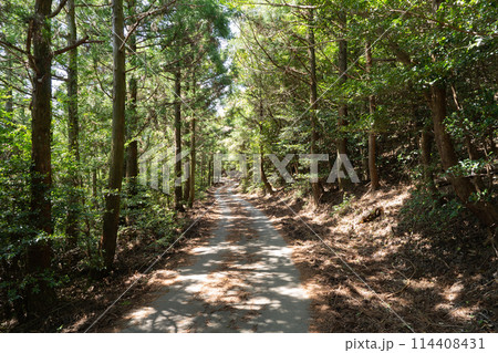 朝熊山・朝熊ヶ岳の登山道 114408431