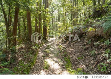 朝熊岳道(朝熊山・朝熊ヶ岳) 朝熊岳道(朝熊山・朝熊ヶ岳) 114408472