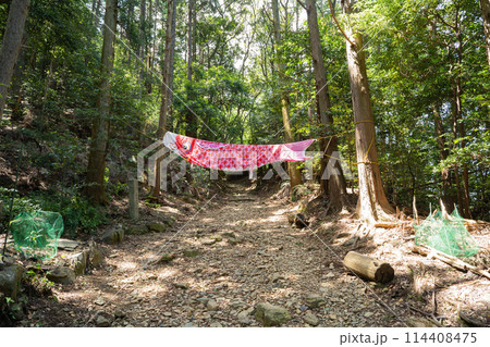 朝熊岳道の鯉のぼり（朝熊山・朝熊ヶ岳） 114408475