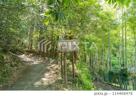 朝熊山の朝熊岳道登山口 朝熊山の朝熊岳道登山口 114408478
