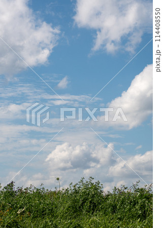 緑の牧草畑と青空 114408550