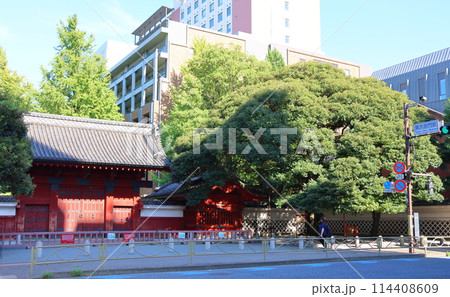 東京大学赤門　本郷キャンパスの旧加賀屋敷御守殿門（ごしゅでんもん）国の重要文化財　東京都文京区本郷 114408609