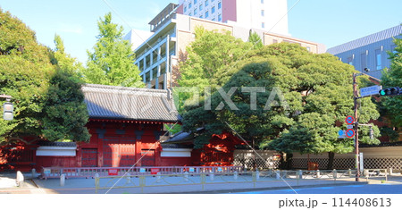 東京大学赤門 本郷キャンパスの旧加賀屋敷御守殿門(ごしゅでんもん)国の重要文化財 東京都文京区本郷 東京大学赤門 本郷キャンパスの旧加賀屋敷御守殿門(ごしゅでんもん)国の重要文化財 東京都文京区本郷 114408613