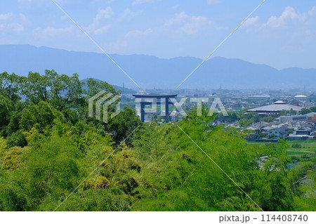 奈良 大神神社 久延彦神社から見える大鳥居の風景 奈良 大神神社 久延彦神社から見える大鳥居の風景 114408740