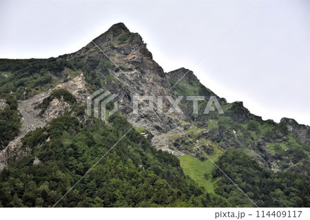 緑の服をまとった明神様 114409117