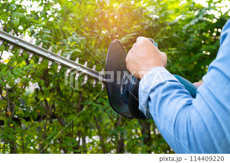 Woman taking care and growing plants, Hobby planting home garden, ornamental pruning. Woman taking care and growing plants, Hobby planting home garden, ornamental pruning. 114409220