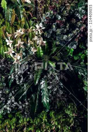 Herb wall, plant wall, natural green wallpaper and background.  114409855