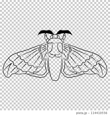 筆書き昆虫単品アイコン 蚕 筆書き昆虫単品アイコン 蚕 114410556