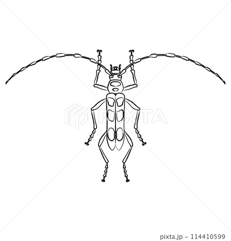 筆書き昆虫単品アイコン　ルリボシカミキリ 114410599