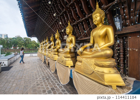 Group of Buddha statues in Seema Malaka buddhist temple in the Beira Lake in Colombo, Sri Lanka. Seema Malaka temple is one of an iconic place in Colombo. 114411184