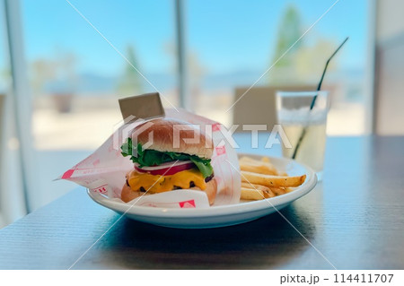 琵琶湖前で食べるハンバーガー 琵琶湖前で食べるハンバーガー 114411707