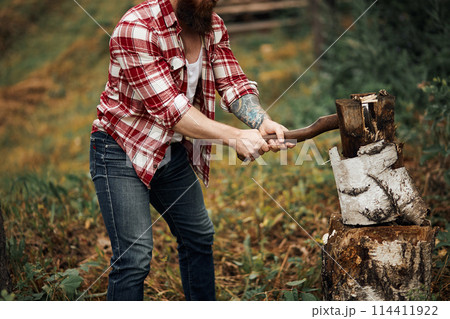Woodcutter in shirt chopping firewoods, chips fly apart Woodcutter in shirt chopping firewoods, chips fly apart 114411922
