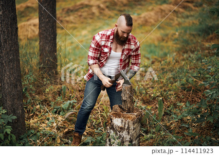 Woodcutter in shirt chopping firewoods, chips fly apart 114411923
