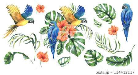 Tropical palm leaves, monstera and flowers of plumeria, hibiscus, bright juicy with blue-yellow macaw parrot. Hand drawn watercolor botanical illustration. Set of elements isolated from background 114412117