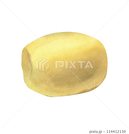 White potatoes, peeled whole tuber. Watercolor illustration, hand drawn on the theme of harvest, cooking, food, packaging, vegetable shop design. Element isolated from background. 114412130