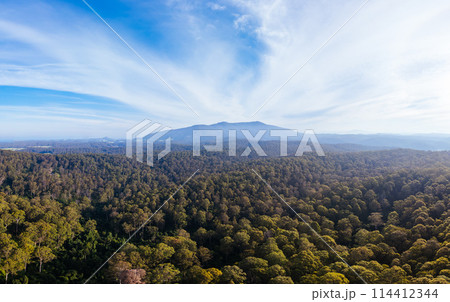 Mount Dromedary near Tilba in Australia 114412344