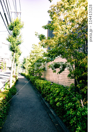 毎日歩いている急坂の歩道 114413128