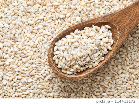 Wooden spoon of organic healthy pearl barley grain seed. 114413172