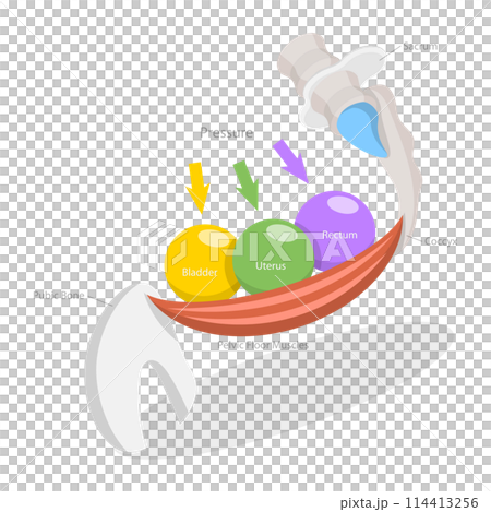 3D Isometric Flat Conceptual Illustration of Pelvic Floor Muscles, Educational Diagram 3D Isometric Flat Conceptual Illustration of Pelvic Floor Muscles, Educational Diagram 114413256