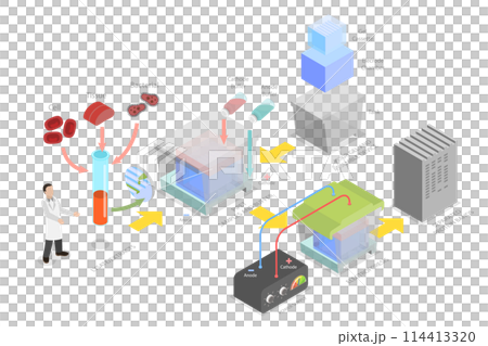 3D Isometric Flat  Conceptual Illustration of Western Blot, Biochemical Analysis 114413320