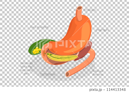 3D Isometric Flat Conceptual Illustration of Acute Pancreatitis, Digestive System Issues 3D Isometric Flat Conceptual Illustration of Acute Pancreatitis, Digestive System Issues 114413348