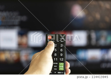 テレビのリモコン 114413945